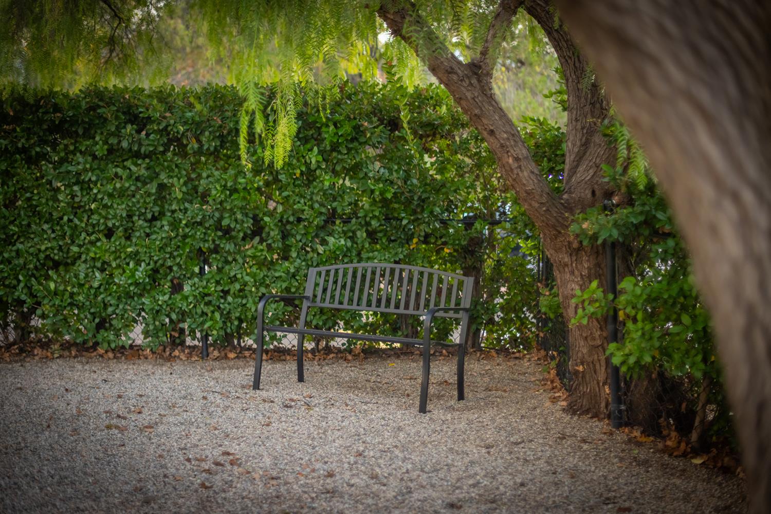 312 Fox Street Ojai, CA 93023 - Photo 22 of 43 a view of table and chair in the patio