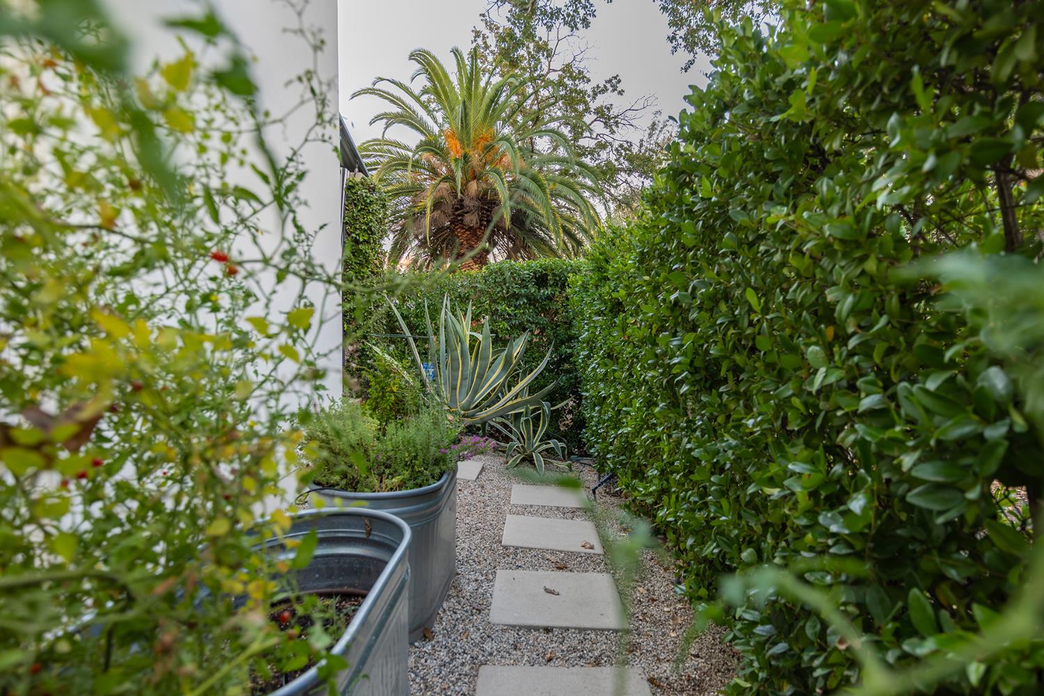 312 Fox Street Ojai, CA 93023 - Photo 23 of 43 a view of a yard with plants