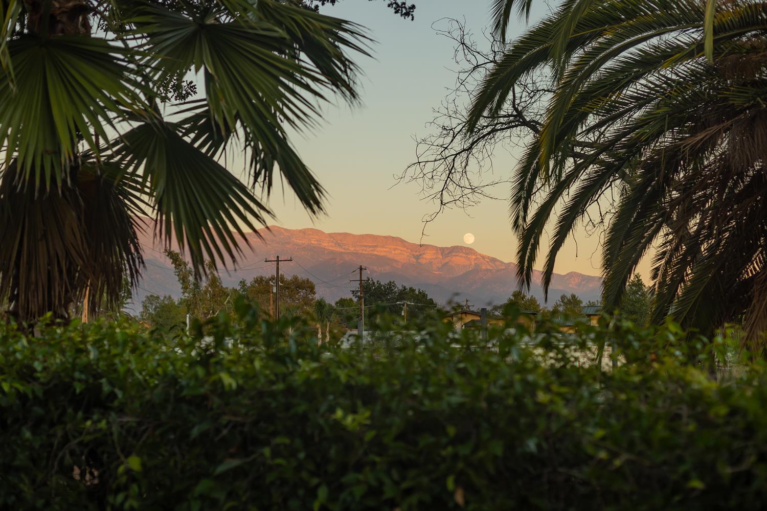 312 Fox Street Ojai, CA 93023 - Photo 4 of 43 a view of a yard