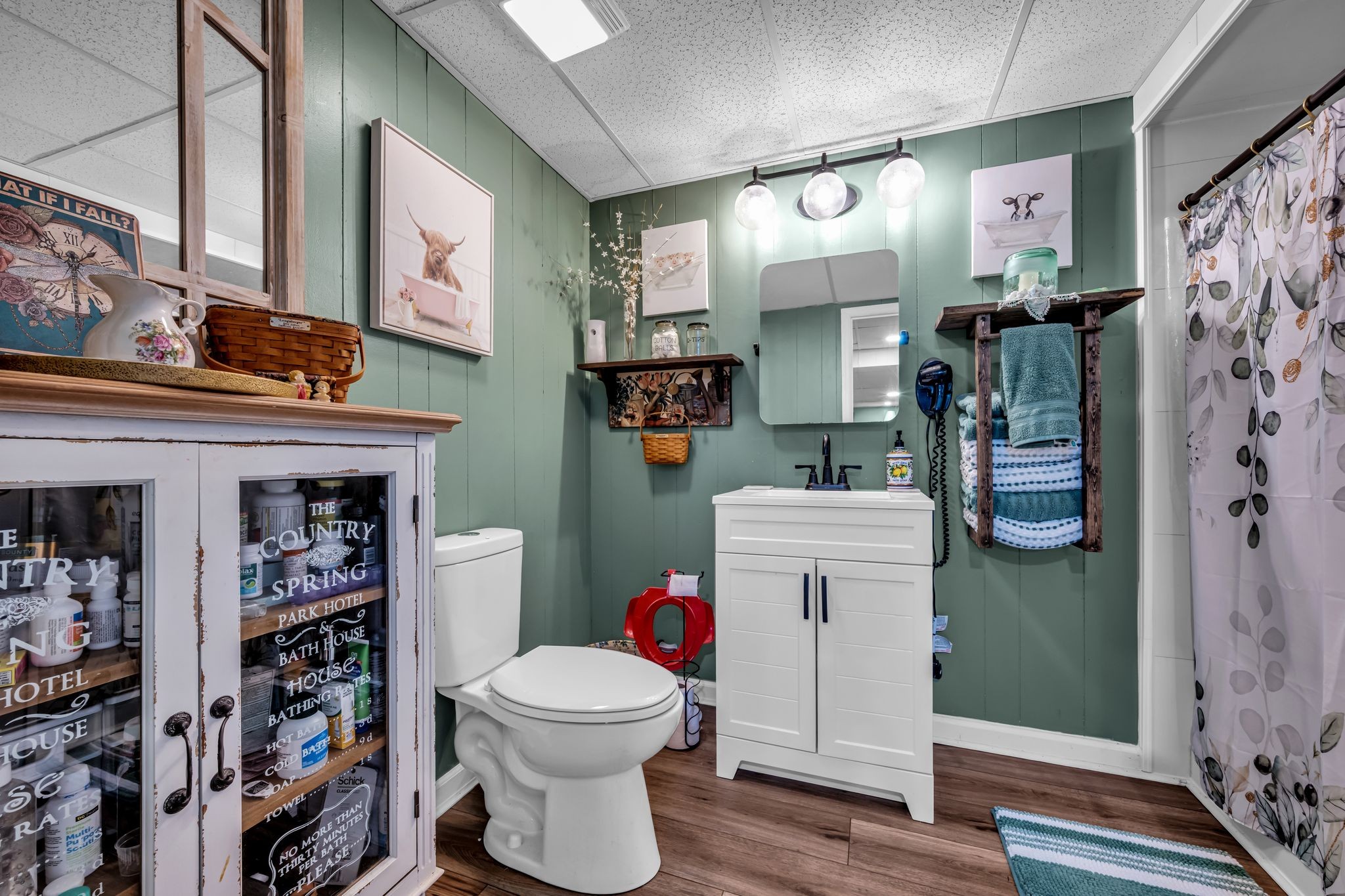 2280 C C C Road Dickson, TN 37055 - Photo 27 of 35 a bathroom with a toilet and a shower curtain
