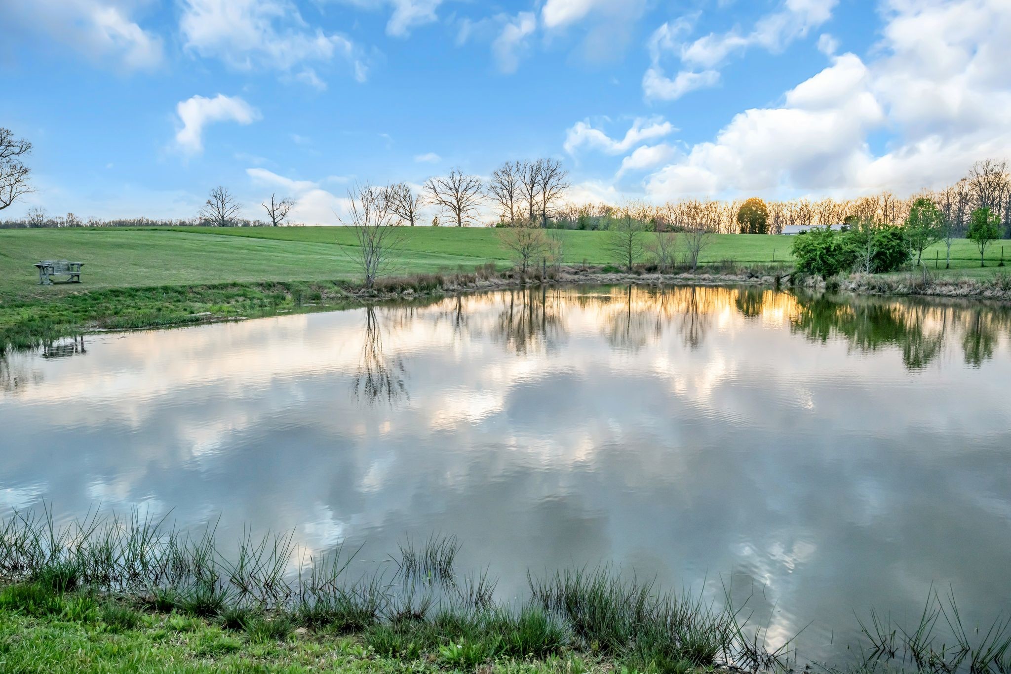 2280 C C C Road Dickson, TN 37055 - Photo 31 of 35 a view of a lake with a yard