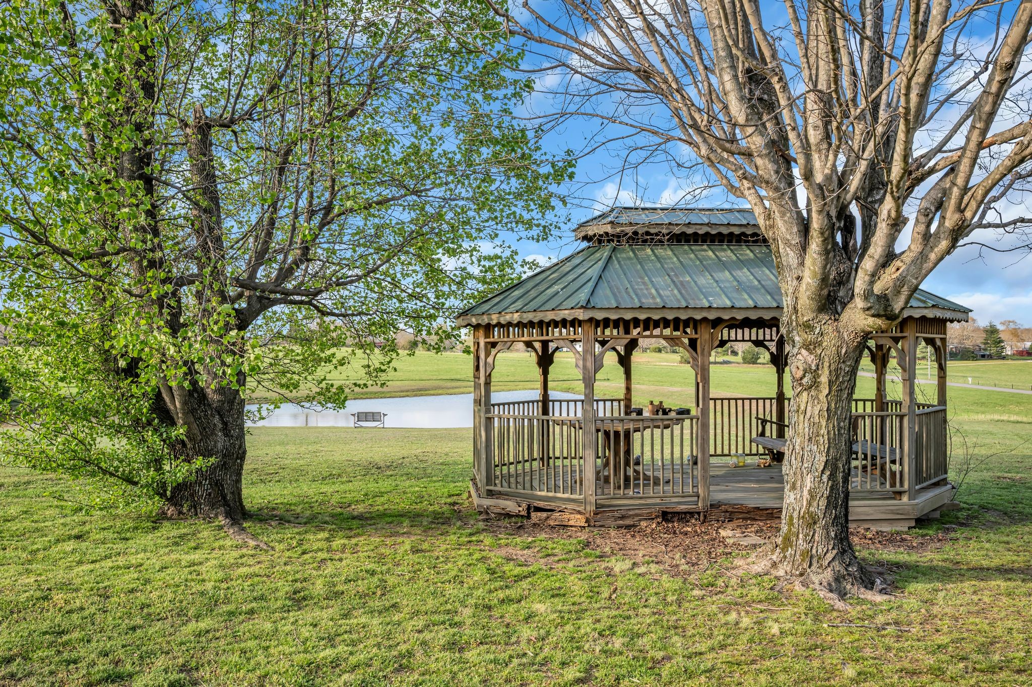 2280 C C C Road Dickson, TN 37055 - Photo 32 of 35 a backyard of a house with lots of green space