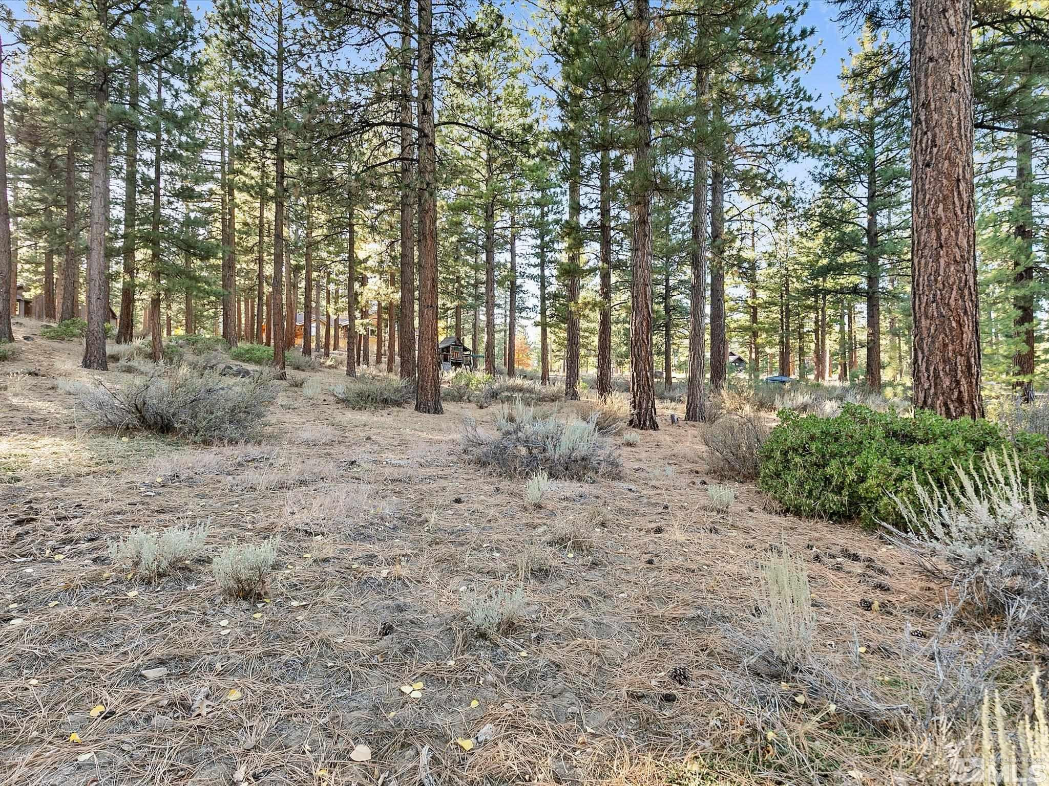 300 Piney Creek Road Reno, NV 89511 - Photo 11 of 20 Photo 11