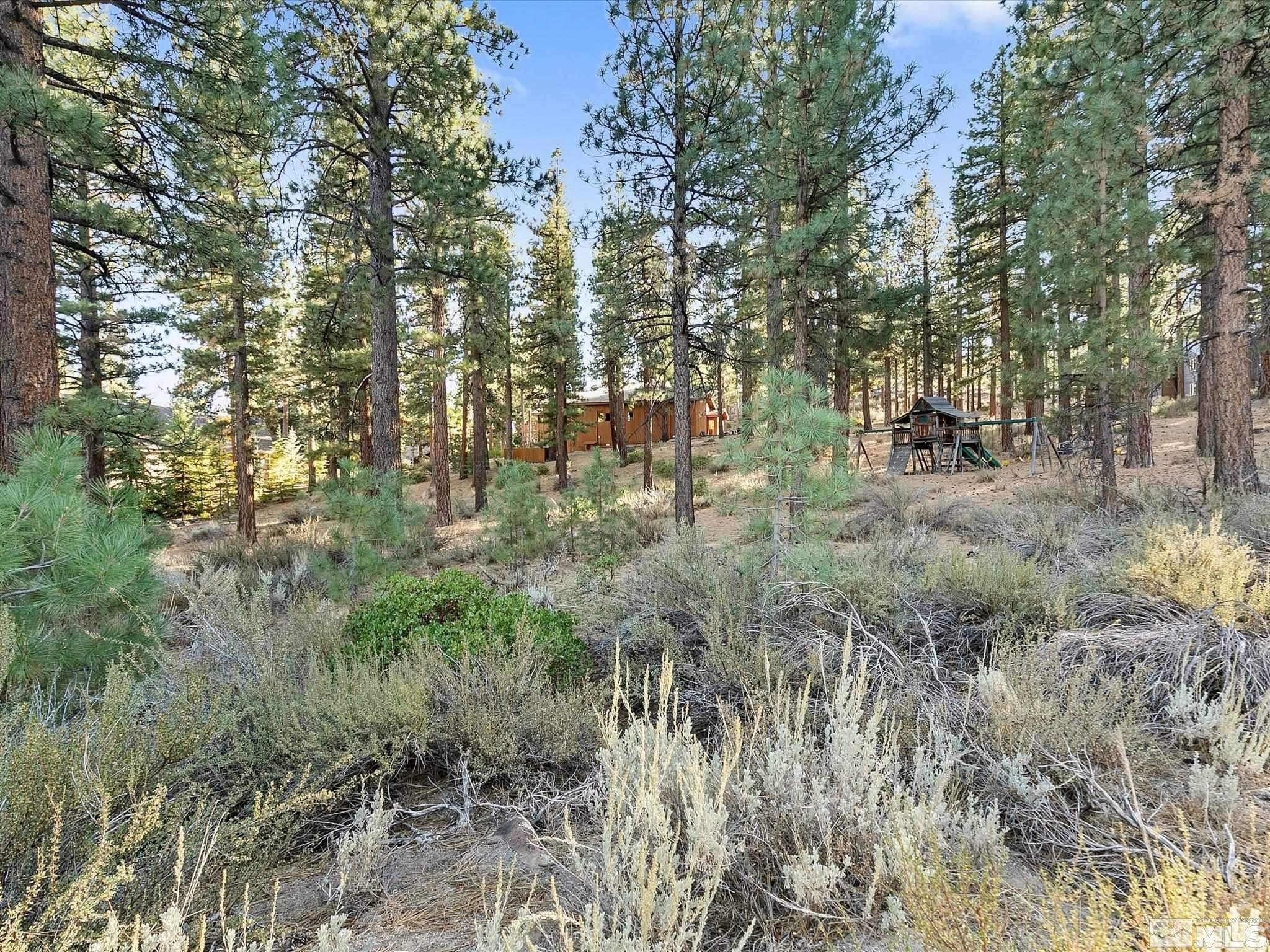 300 Piney Creek Road Reno, NV 89511 - Photo 12 of 20 Photo 12