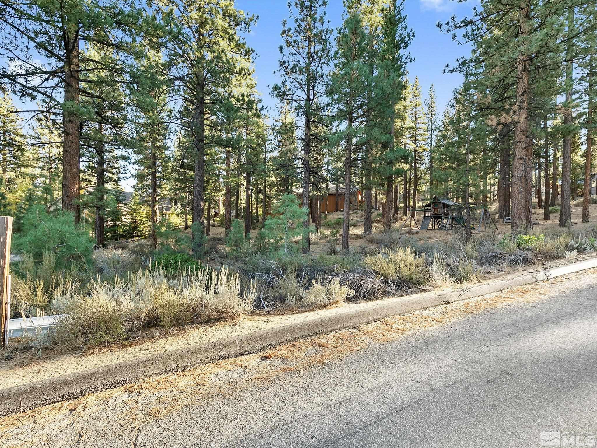 300 Piney Creek Road Reno, NV 89511 - Photo 13 of 20 Photo 13