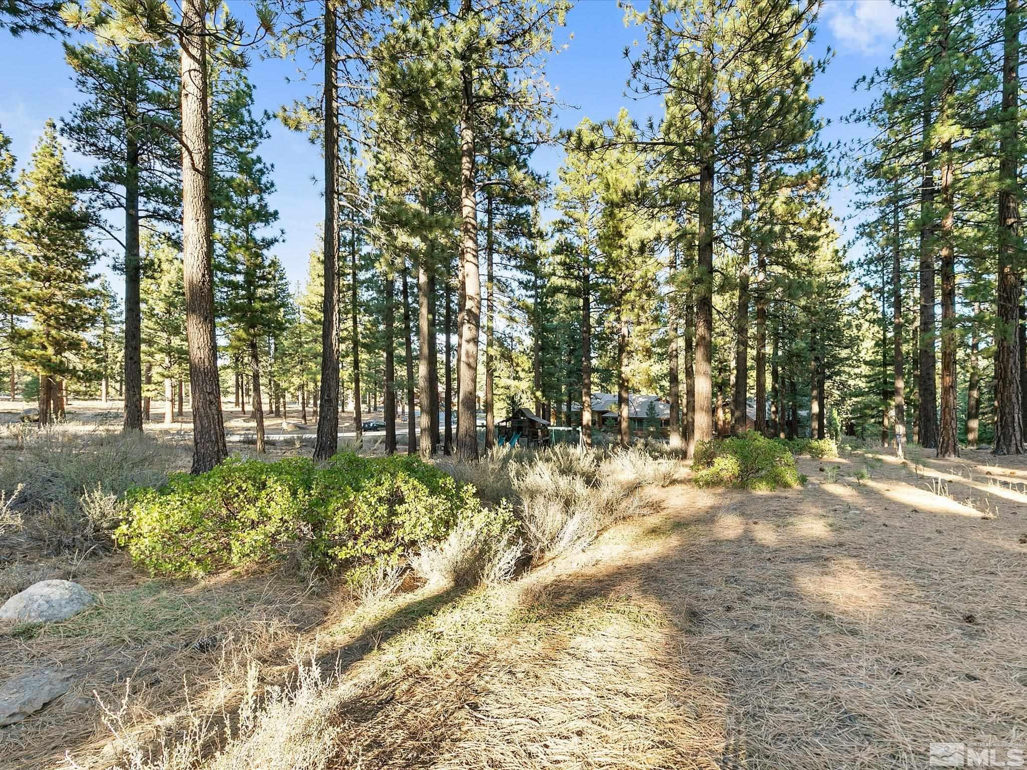 300 Piney Creek Road Reno, NV 89511 - Photo 10 of 20 Photo 10