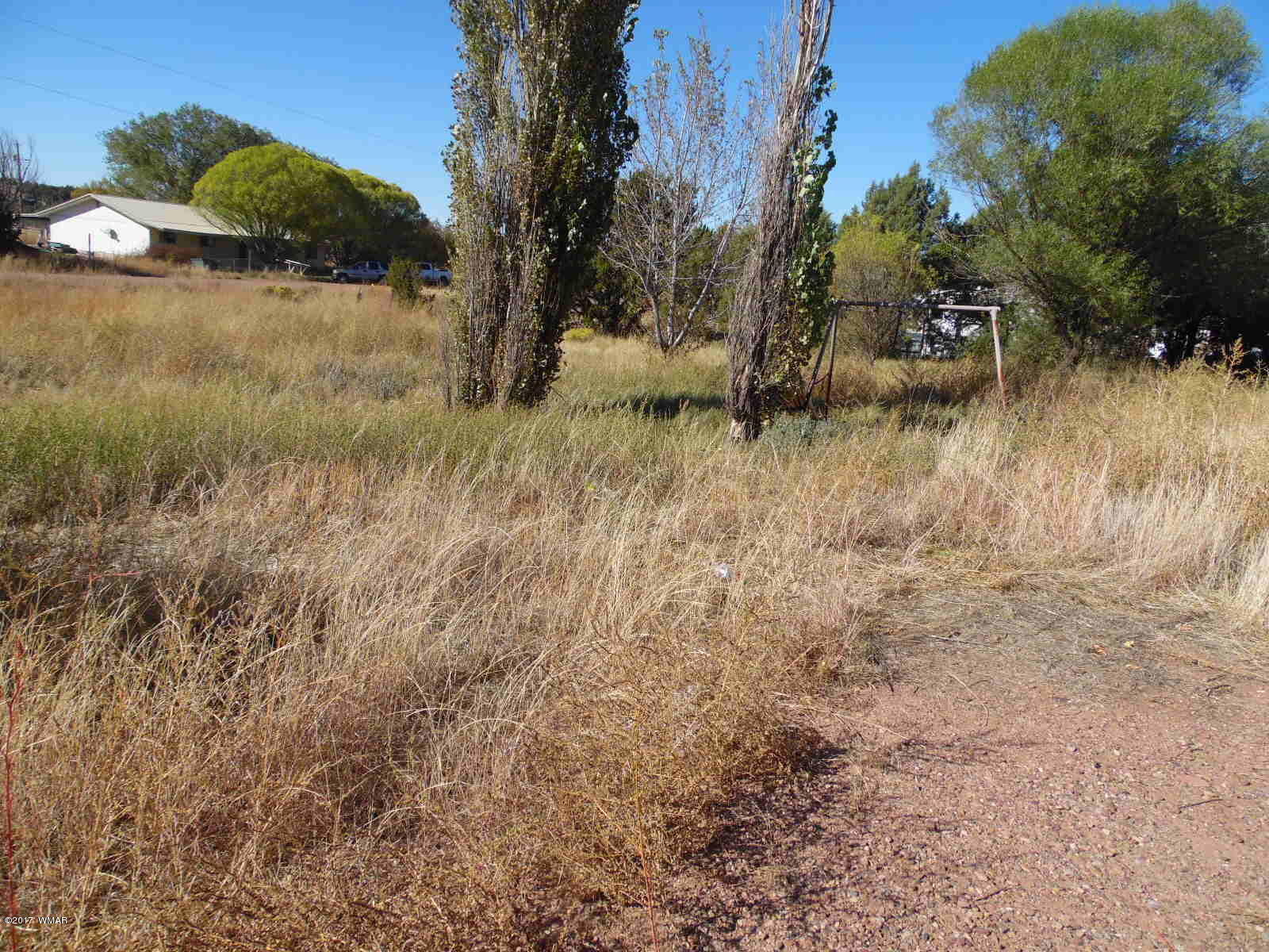 2163 Copper Road Clay Springs, AZ 85923 - Photo 3 of 9 Gallery Image 3