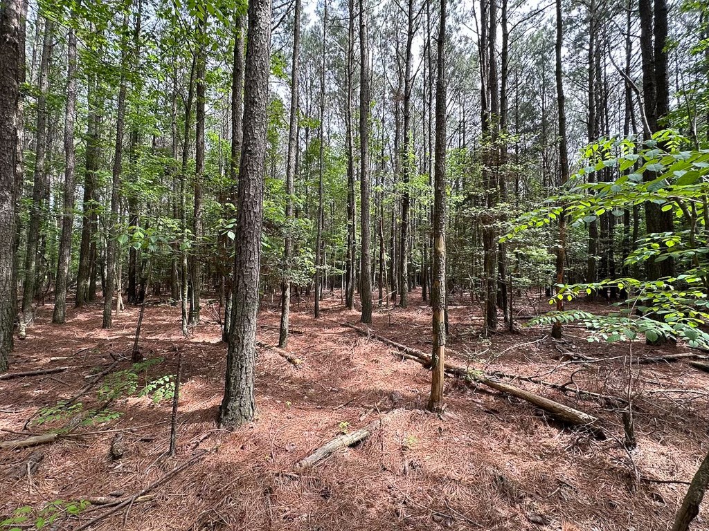 1.75-ac 1.75-ac Kegotank Road, Unit 2 Bloxom, VA 23308 - Photo 10 of 18