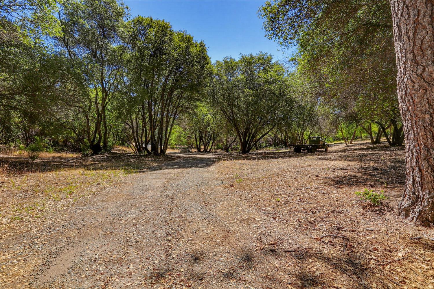 21748 Hyatt Road Nevada City, CA 95959 - Photo 76 of 83