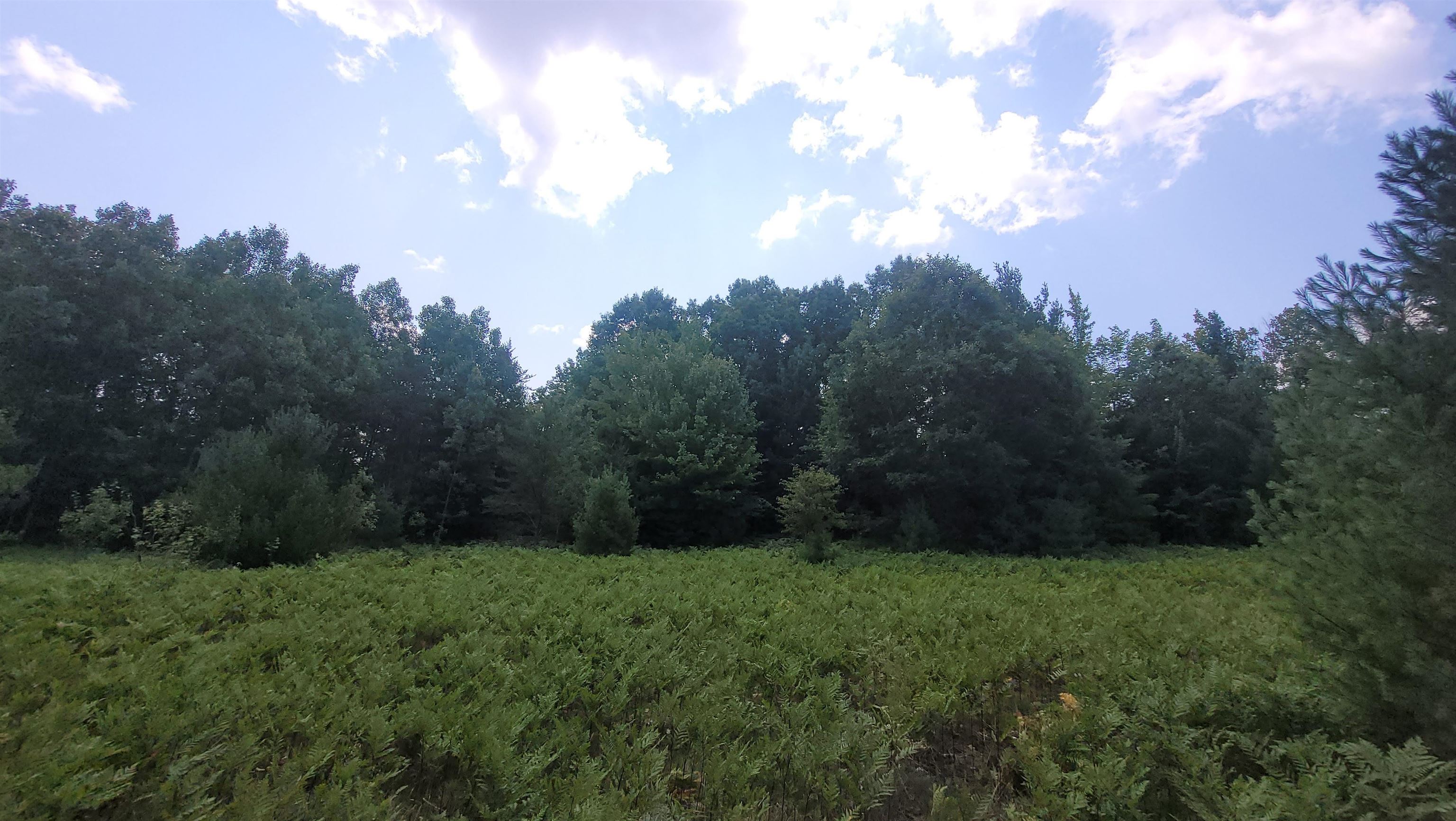 Parcel R Southwest Parcel R Sw Mueller Fife Lake Fife Lake, MI 49633 - Photo 1 of 20