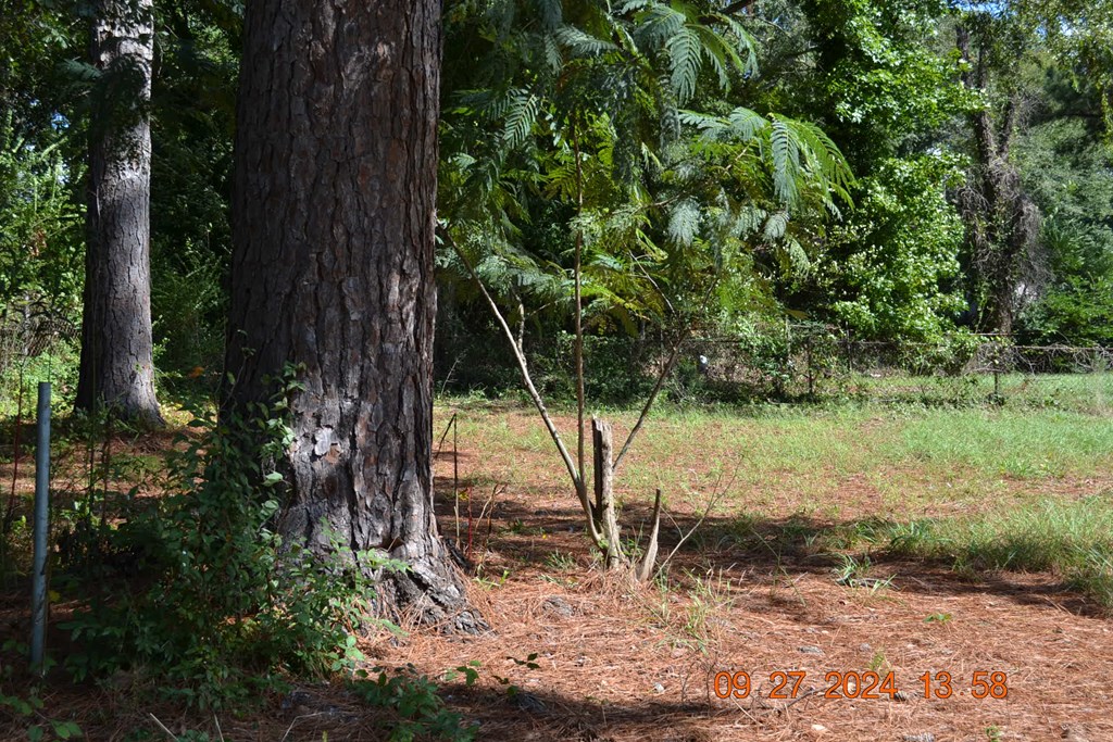 4559 Conner Road Columbus, GA 31903 - Photo 10 of 15 Gallery Image 10