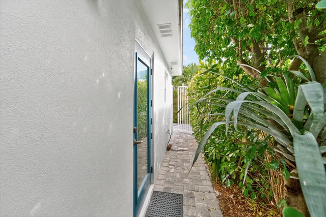 a view of a pathway with a plants