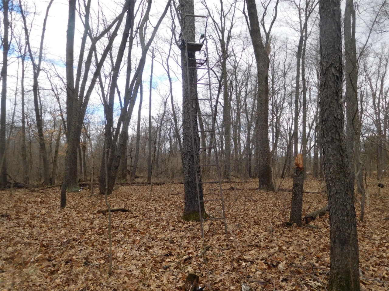 Parcel B 76th Avenue Decatur, MI 49045 - Photo 3 of 10