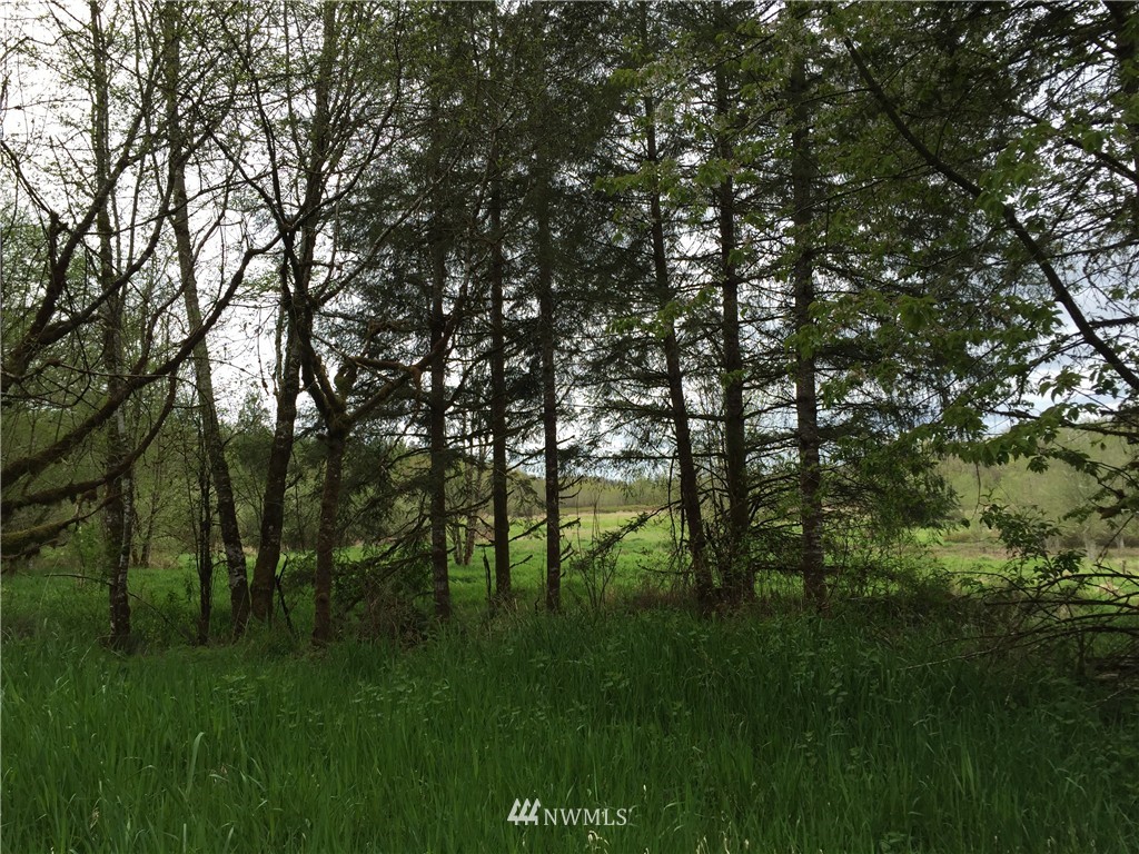 0 Jensen Road Onalaska, WA 98570 - Photo 11 of 12 Gallery Image 11
