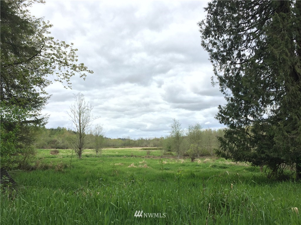 0 Jensen Road Onalaska, WA 98570 - Photo 12 of 12 Gallery Image 12