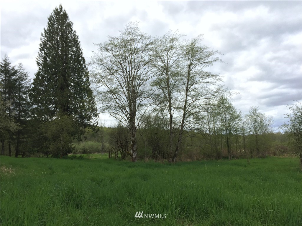 0 Jensen Road Onalaska, WA 98570 - Photo 3 of 12 Gallery Image 3