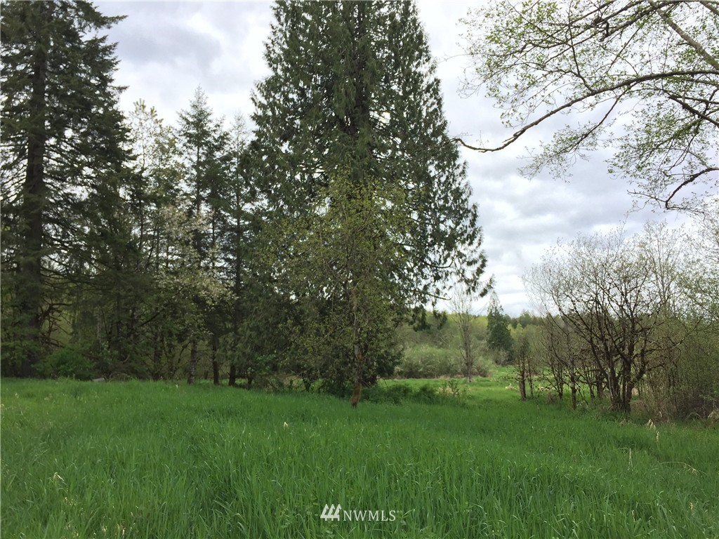 0 Jensen Road Onalaska, WA 98570 - Photo 5 of 12 Gallery Image 5