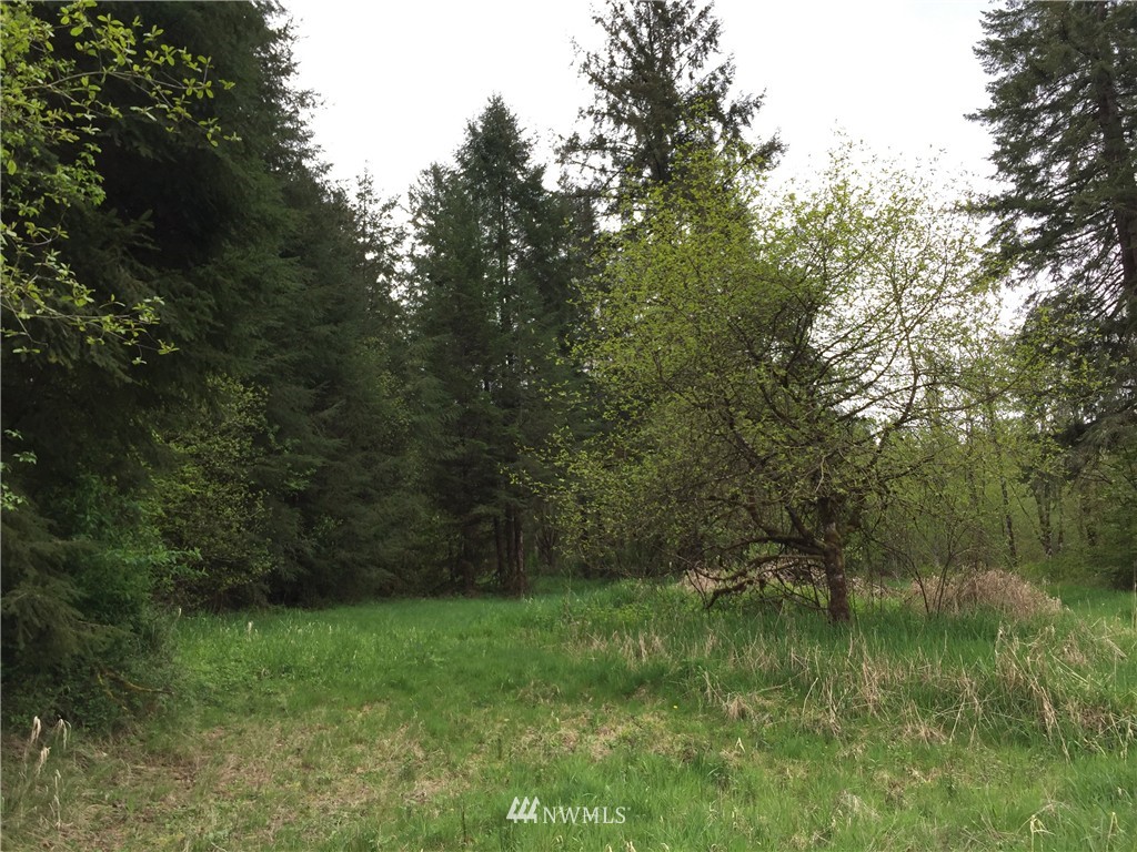 0 Jensen Road Onalaska, WA 98570 - Photo 6 of 12 Gallery Image 6
