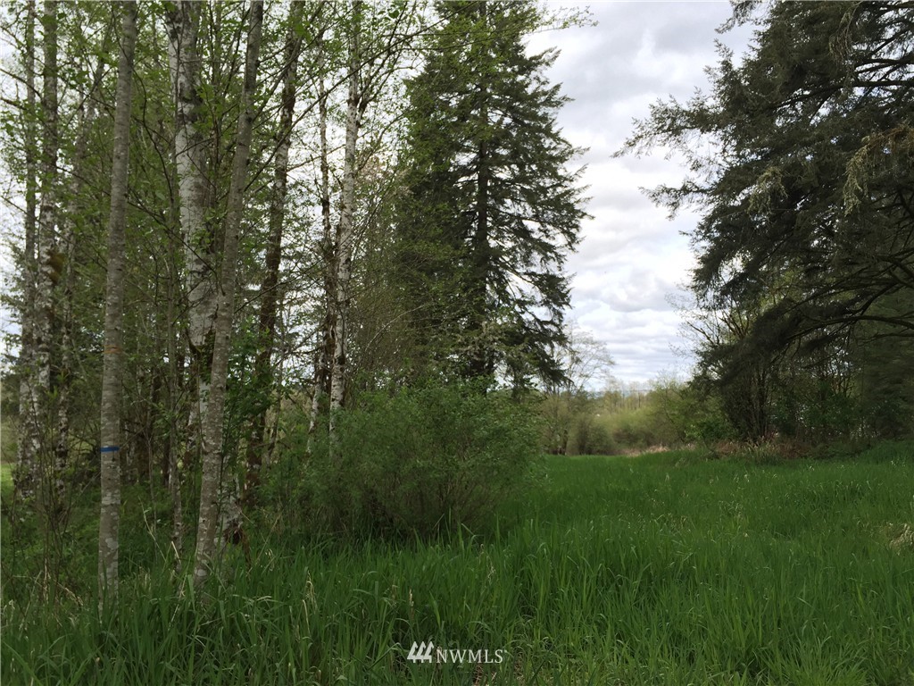 0 Jensen Road Onalaska, WA 98570 - Photo 9 of 12 Gallery Image 9