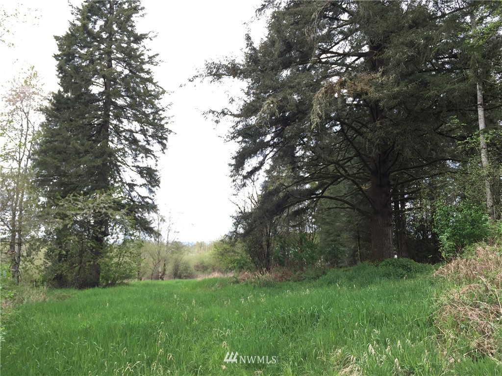 0 Jensen Road Onalaska, WA 98570 - Photo 10 of 12 Gallery Image 10