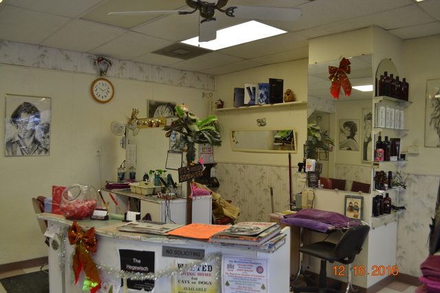 13257 South Baltimore Avenue Chicago, IL 60633 - Photo 7 of 9 a room with furniture and musical instruments