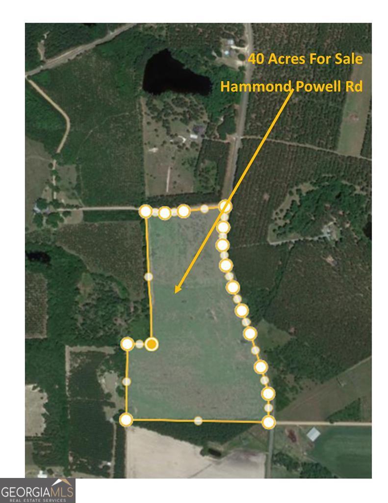 -- Hammond Powell Road Hazlehurst, GA 31539 - Photo 1 of 1 Main View