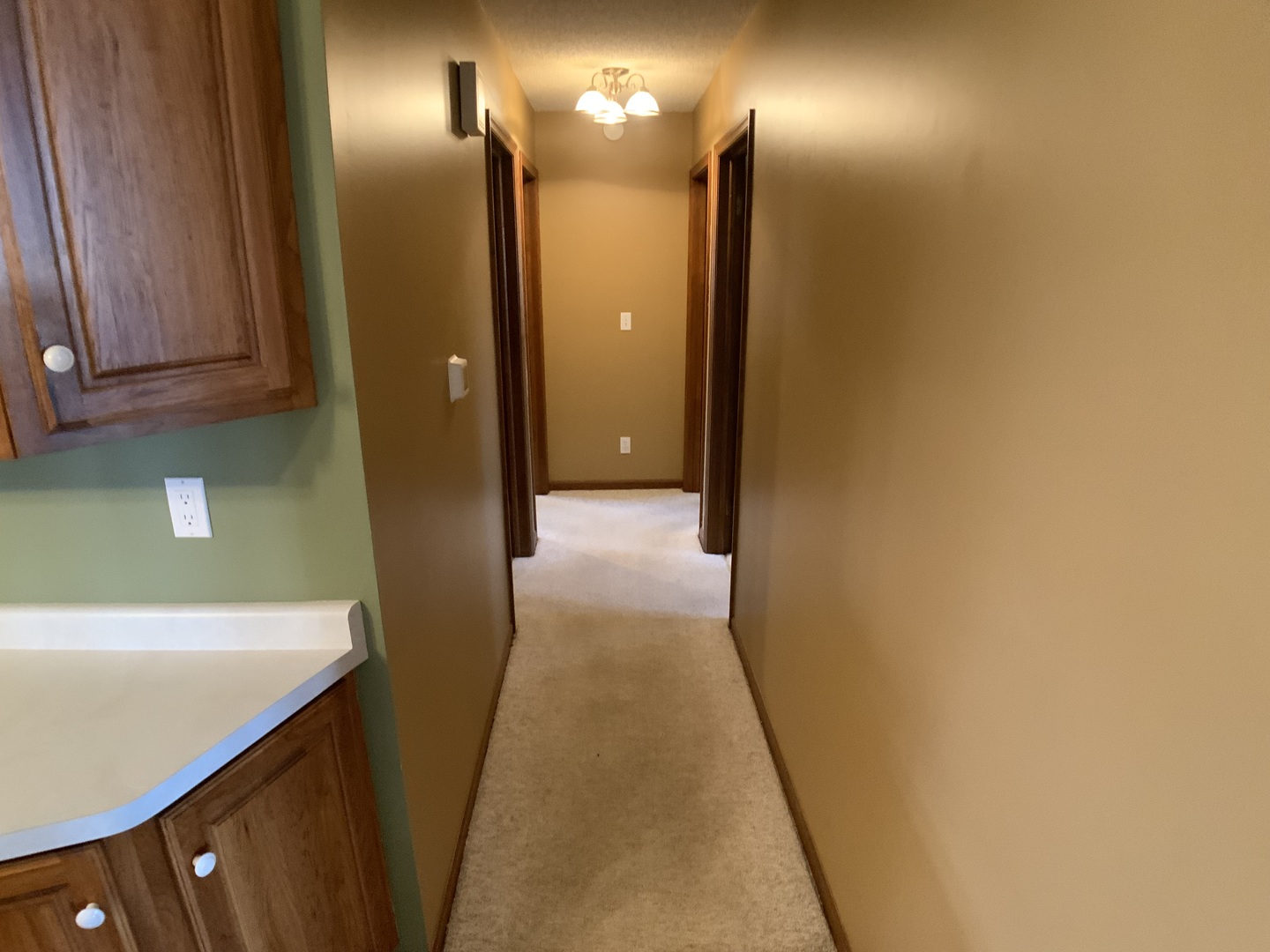 12628 Willow Lane Genoa, IL 60135 - Photo 14 of 21 a view of a hallway