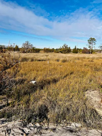 $27,000 | 0 Ezell Beach Road, Perry, FL 32348