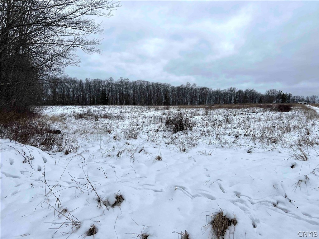 0 Logue Hill Road Candor, NY 13743 - Photo 1 of 1 Gallery Image 1