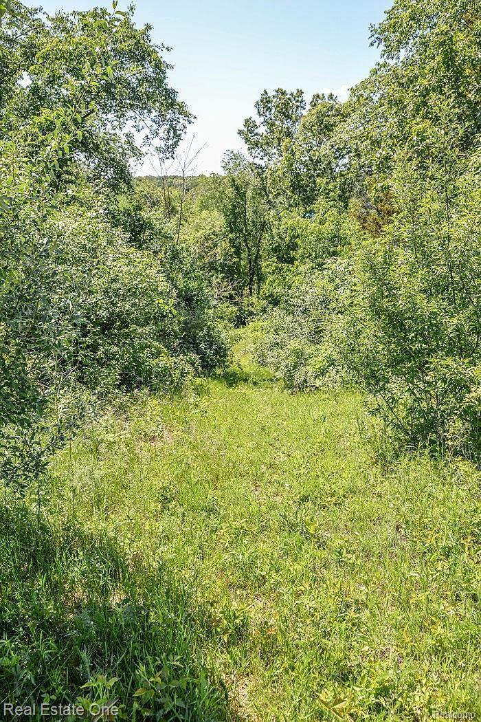 6019 Nottingham Point Brighton, MI 48116 - Photo 77 of 85 aug_4405.jpg