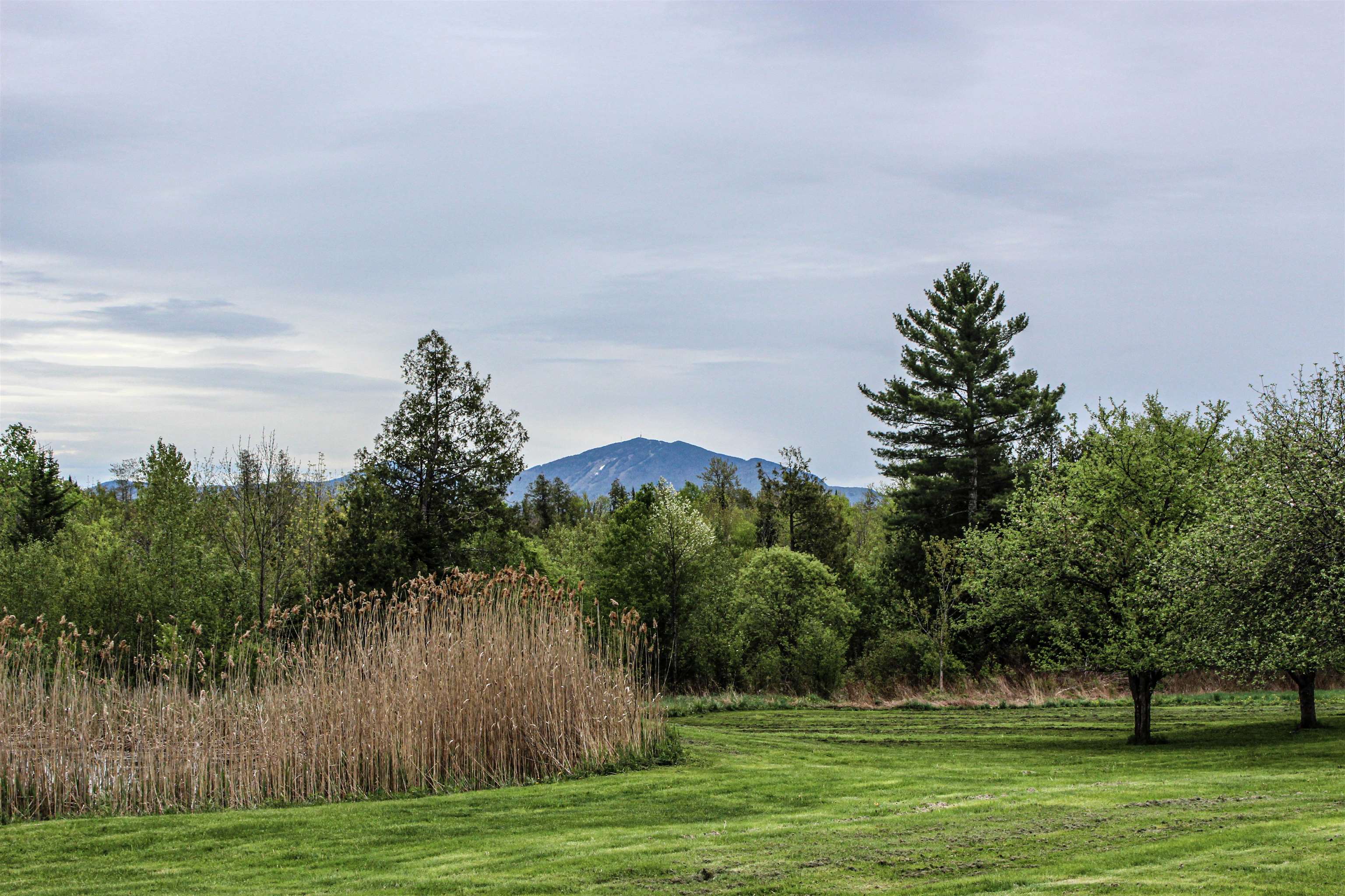 1360 Underpass Road Sutton, VT 05867 - Photo 13 of 37