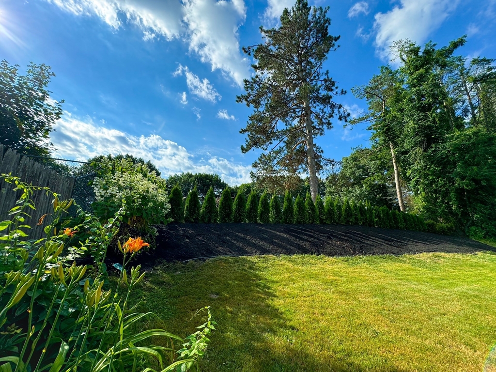 101 Spiers Road Newton, MA 02459 - Photo 31 of 35 a view of a yard
