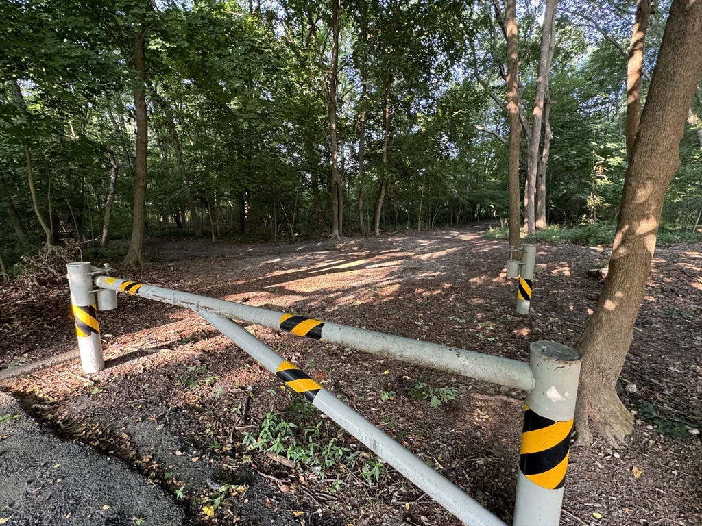 101 Spiers Road Newton, MA 02459 - Photo 35 of 35 a view of a park with slides