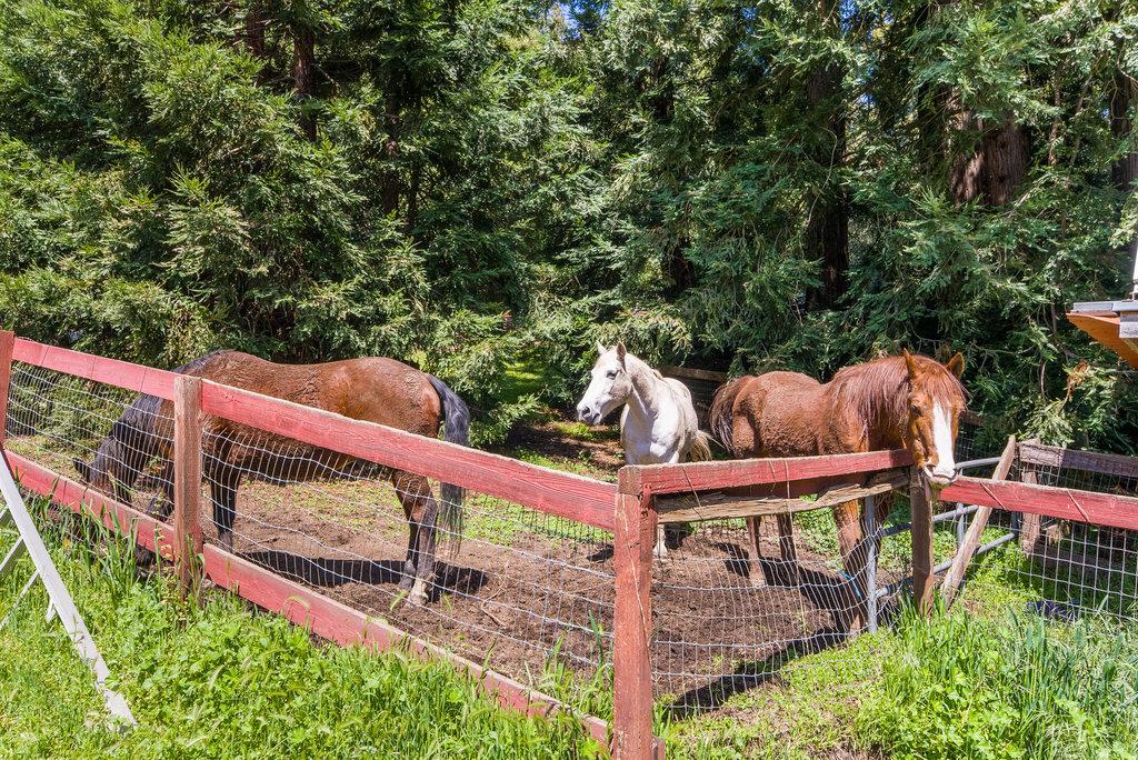 2900 Buzzard Lagoon Road Corralitos, CA 95076 - Photo 29 of 30