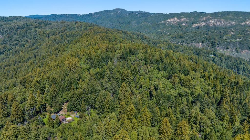 2900 Buzzard Lagoon Road Corralitos, CA 95076 - Photo 3 of 30