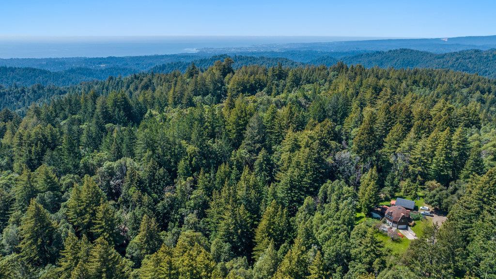 2900 Buzzard Lagoon Road Corralitos, CA 95076 - Photo 4 of 30