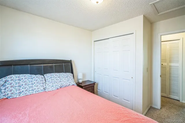 a bedroom with a bed and closet