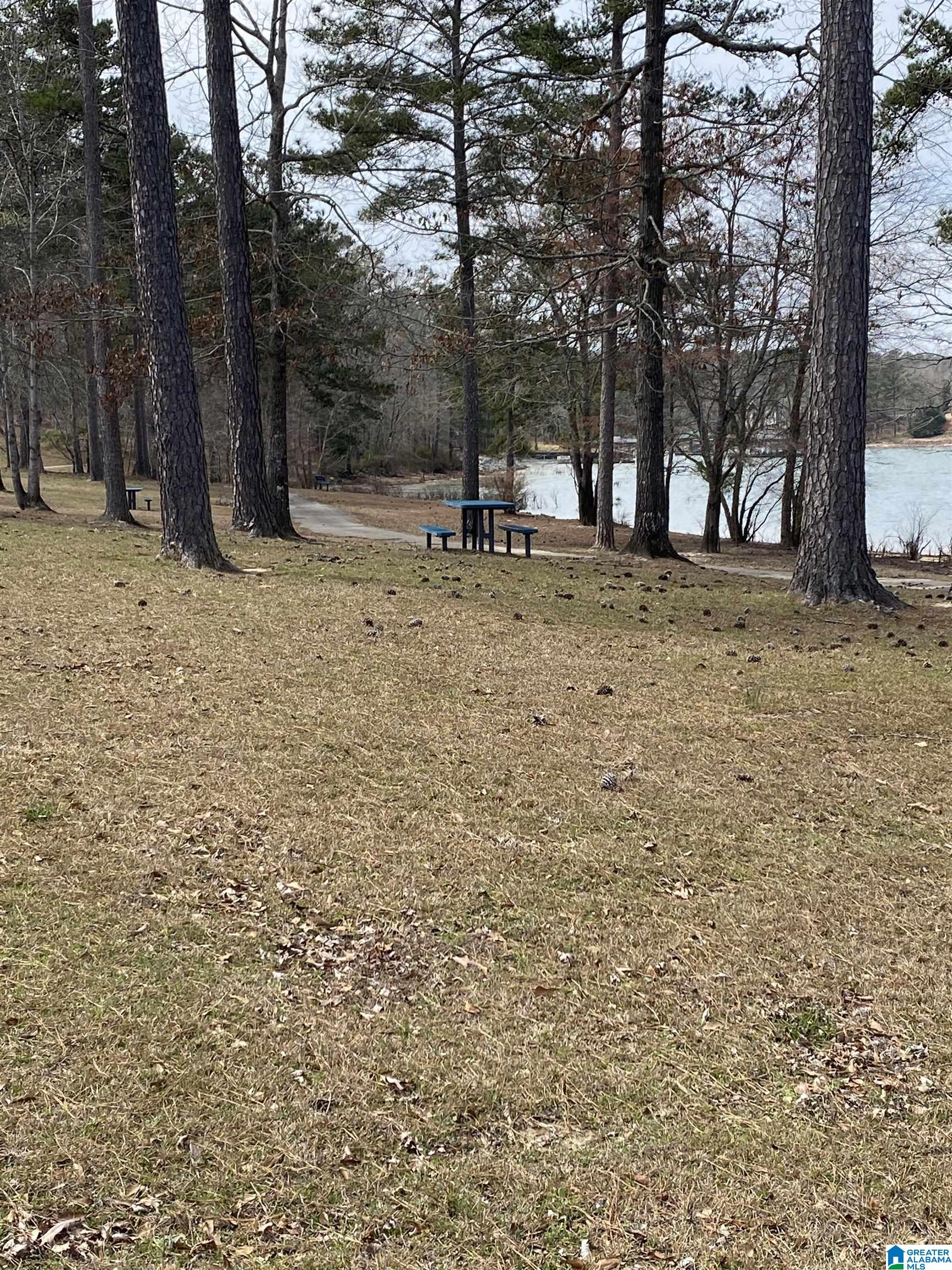 Lot 37 Stoney Point Road South, Unit 37 Double Springs, AL 35553 - Photo 27 of 33