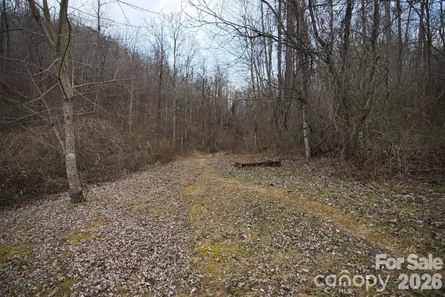 a view of small yard