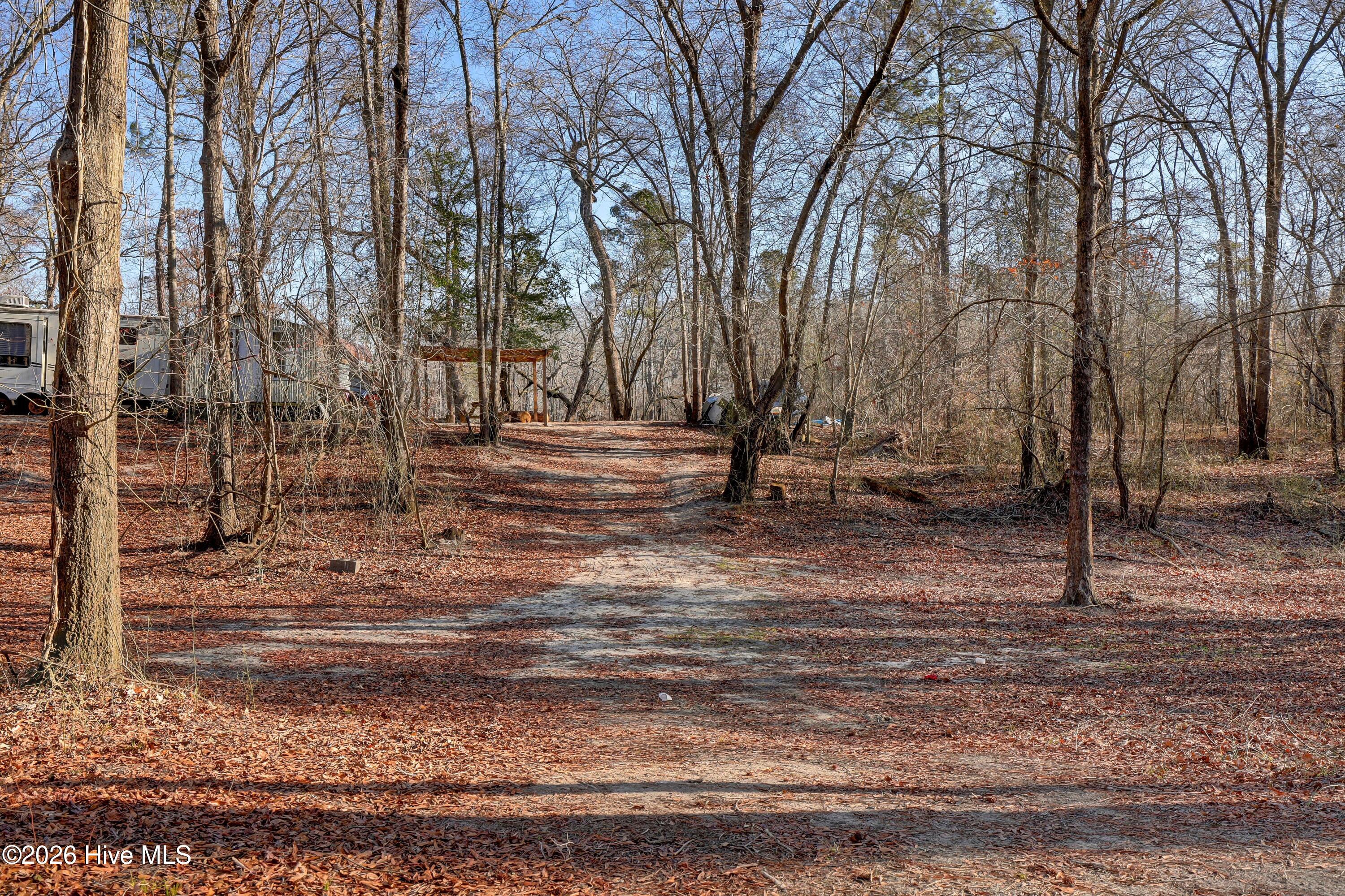 Lot 19 Ruddy Duck Lane Willard, NC 28478 - Photo 24 of 34 002_6g8a1500_553