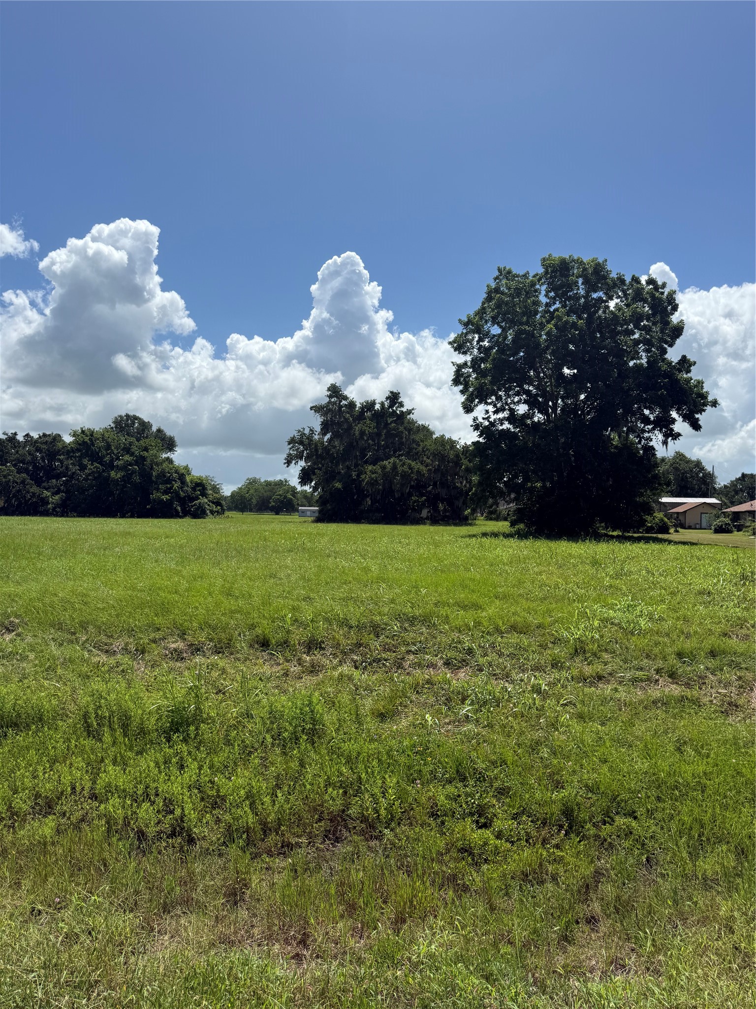 1149 Frontier Trail Angleton, TX 77515 - Photo 2 of 6