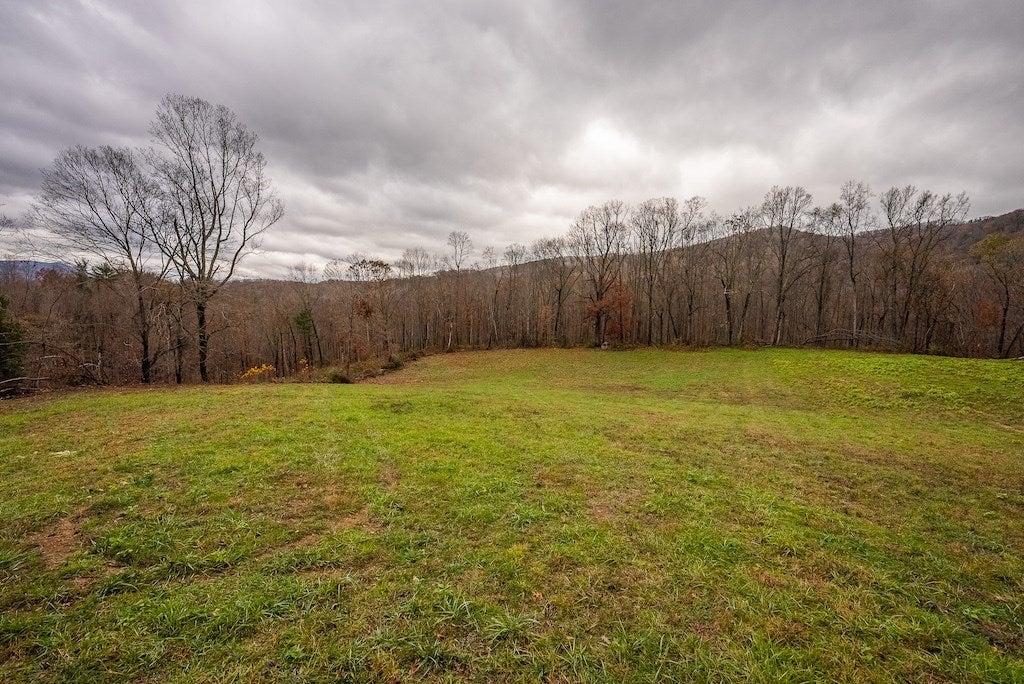 Lot 2 Curve Road Pearisburg, VA 24134 - Photo 3 of 34 Gallery Image 3