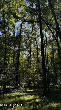 $125,000 | 0 Union Church Road, Cameron, NC 28326