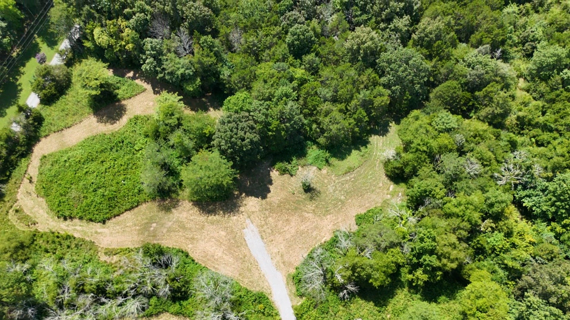 0 Murray-Kittrell Road Readyville, TN 37149 - Photo 1 of 25 a plant with lots of trees