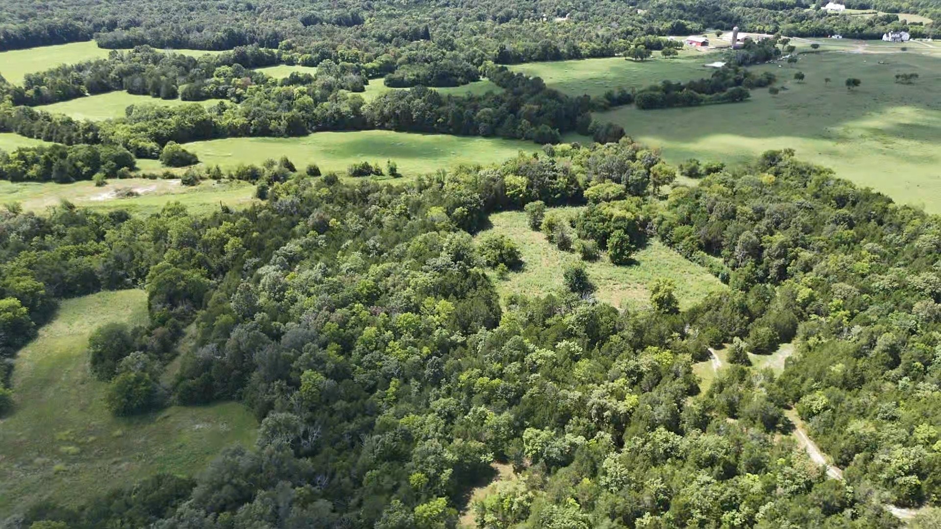 0 Murray-Kittrell Road Readyville, TN 37149 - Photo 11 of 25 a view of a lush green forest with lots of trees