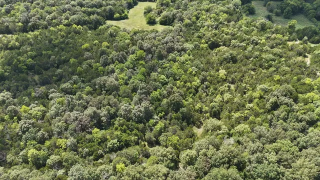 a view of a large yard with lots of green space