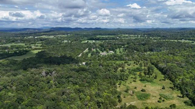 a view of a city with lush green forest