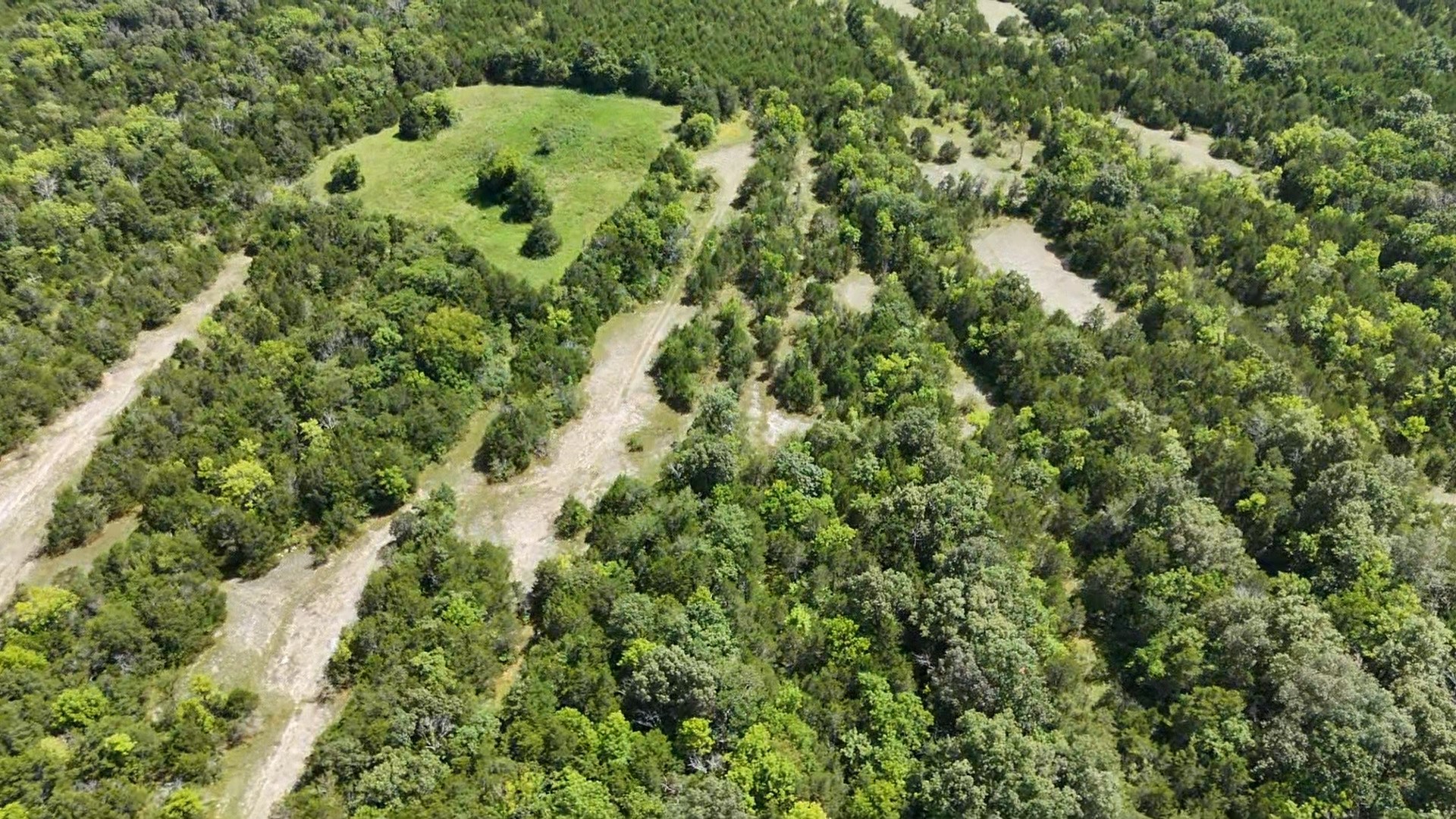 0 Murray-Kittrell Road Readyville, TN 37149 - Photo 15 of 25 a view of a lush green forest with lots of trees