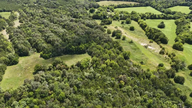 a view of a forest with a sink