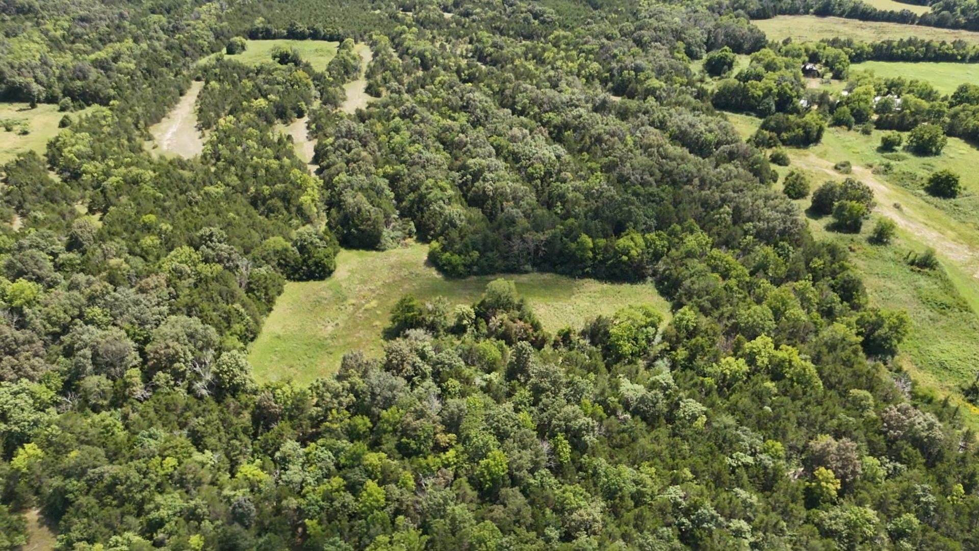 0 Murray-Kittrell Road Readyville, TN 37149 - Photo 19 of 25 a view of a forest with a sink